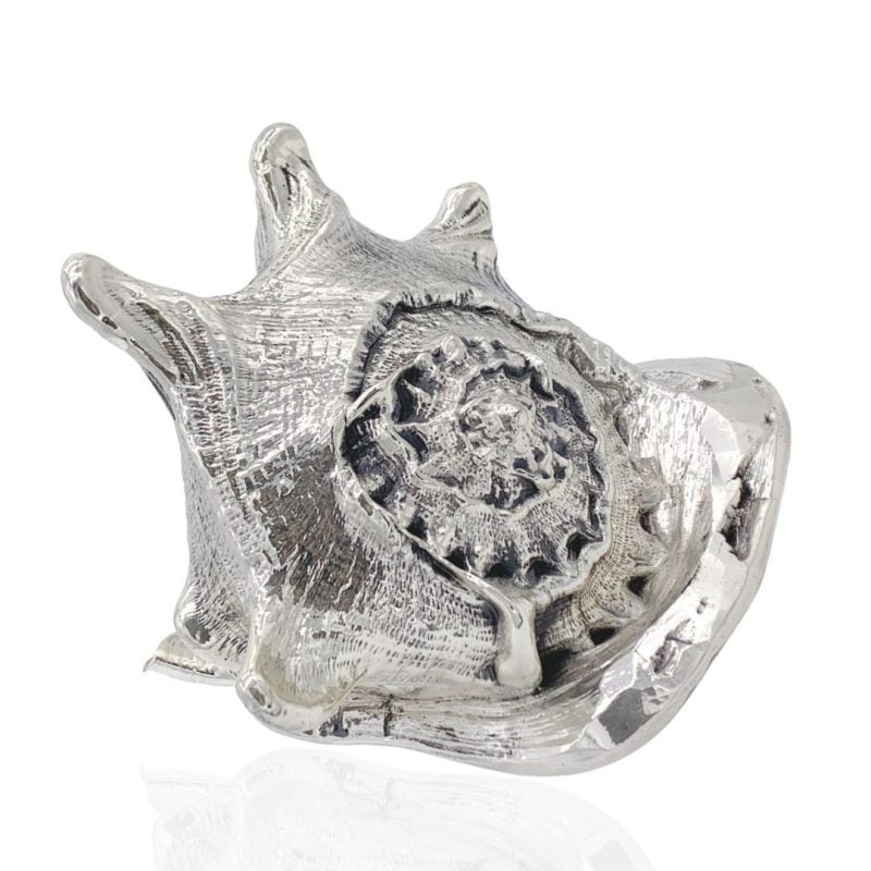 SAGDEC010643 cassis cornuta grande