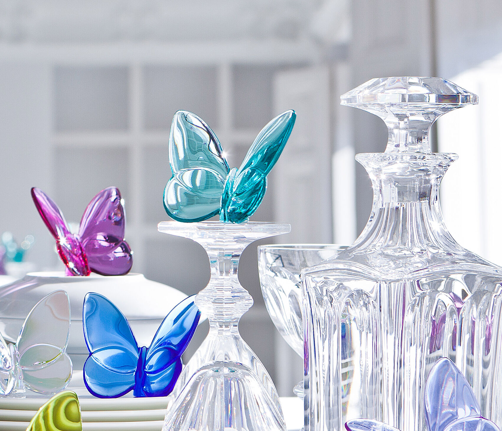 FARFALLA portafortuna - immagine 3