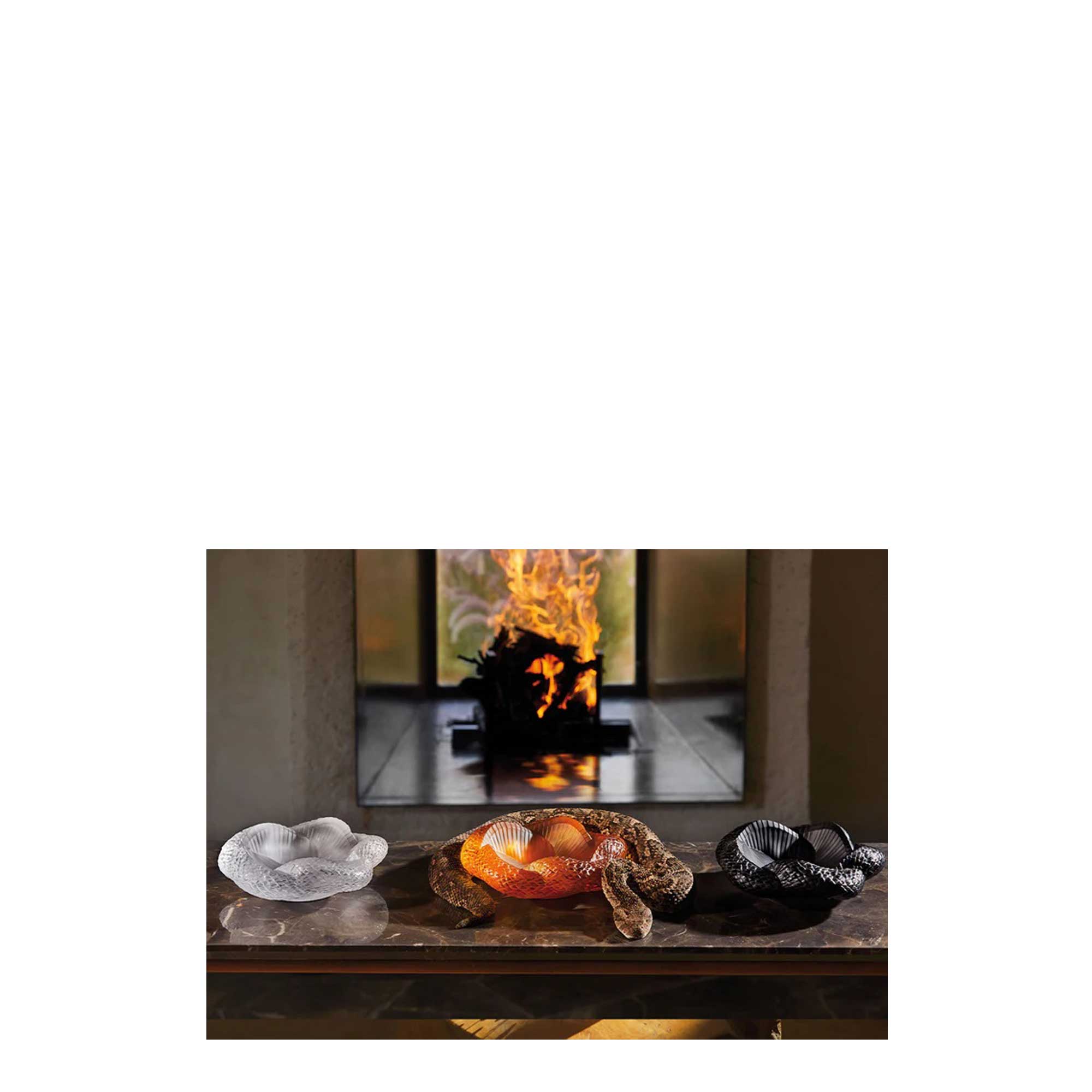 coppa serpente - immagine 2